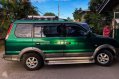 Mitsubishi Adventure Green SUV For Sale -1