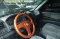 2002 Mitsubishi Adventure GLS Sports Gas MT for sale -3