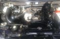 2010 Mitsubishi Adventure GLS DIESEL for sale-0