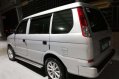 Mitsubishi Adventure 2008 for sale-7
