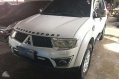 2010 Mitsubishi Montero Sports for sale-1