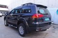 2010 Mitsubishi Montero for sale-4