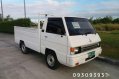 Mitsubishi FB L300 2010 for sale-0