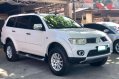 2013 Mitsubishi Montero for sale-2