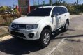 2014 Mitsubishi Montero for sale-4