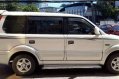 Mitsubishi Adventure 2002 for sale-1