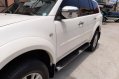 2009 Mitsubishi Montero for sale-4