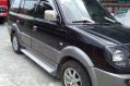 Mitsubishi Adventure 2011 for sale -4