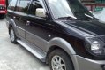 Mitsubishi Adventure 2011 for sale -0