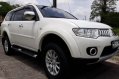 2010 Mitsubishi Montero Sport for sale-2