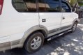 Selling Mitsubishi Adventure 2010 Manual Diesel in San Mateo-1