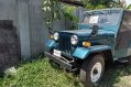 Mitsubishi Jeep Manual Gasoline for sale in Cagayan de Oro-2