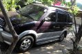 Sell 2nd Hand 1999 Mitsubishi Adventure at 120000 km in Taytay-7