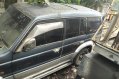 Sell Blue Mitsubishi Pajero Wagon (Estate) in Mandaluyong-1