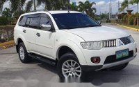 2010 Mitsubishi Montero for sale