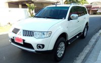 2010 Mitsubishi Montero Sport GLS for sale 