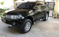 2010 Mitsubishi Montero for sale