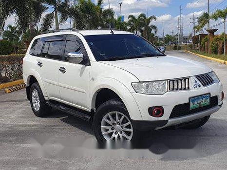 2010 Mitsubishi Montero for sale