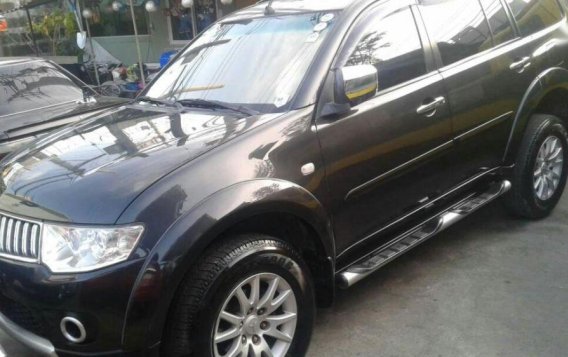 2009 Mitsubishi Montero Sport for sale 