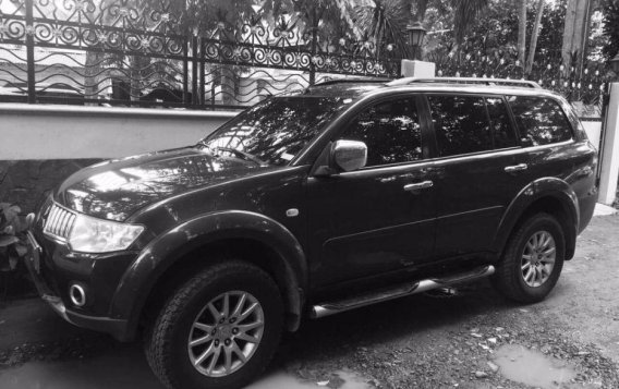 Mitsubishi Montero Sports 2009 for sale