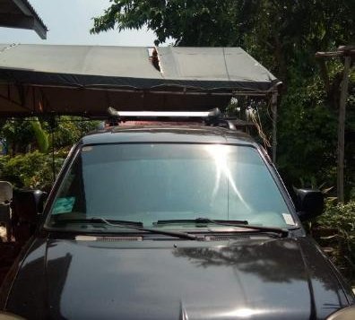 Selling 2nd Hand Mitsubishi Adventure 2010 in Santa Maria