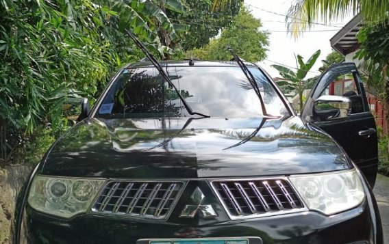 Sell Black 2010 Mitsubishi Montero Sport in Rizal